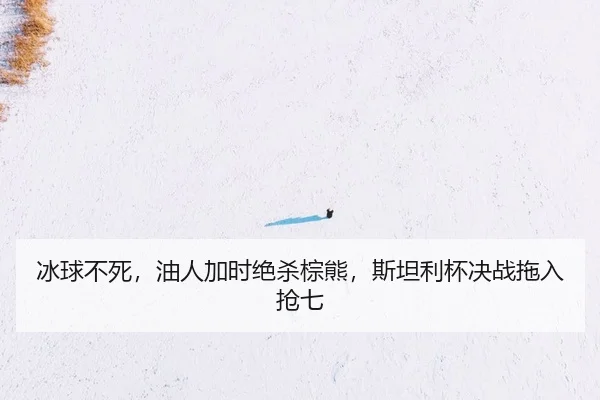 冰球不死，油人加时绝杀棕熊，斯坦利杯决战拖入抢七