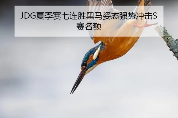 JDG夏季赛七连胜黑马姿态强势冲击S赛名额